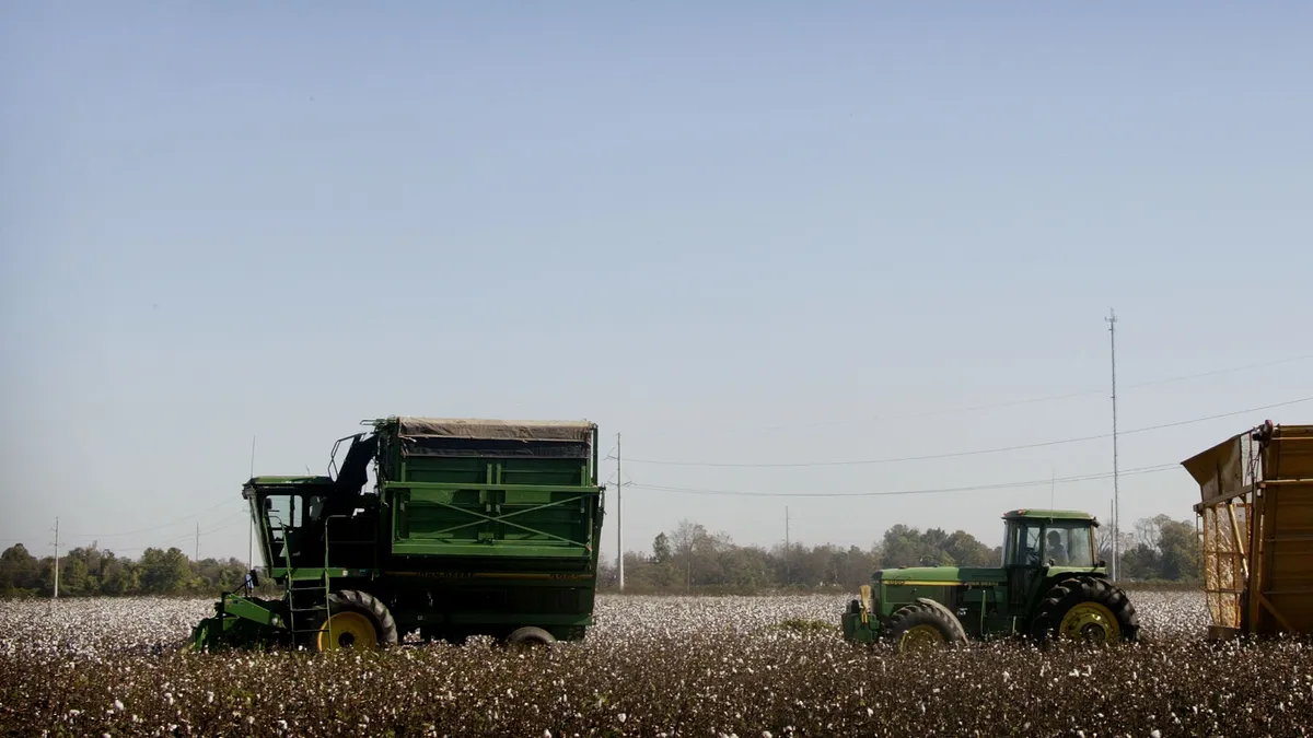 Two harvest machines are pictured working in a field of cotton.