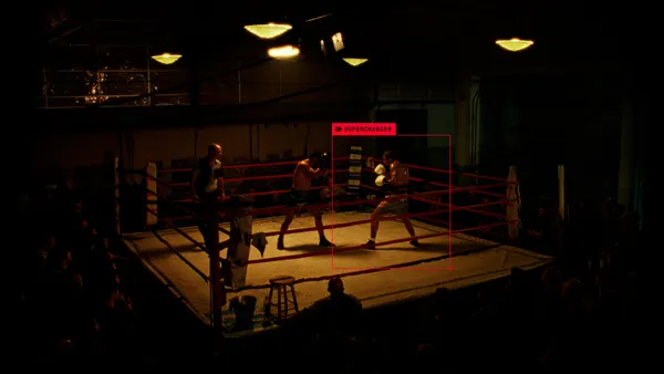 Boxers in a ring for Essentia