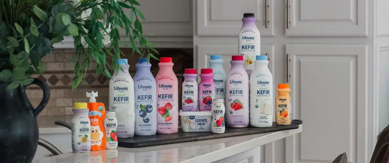 Danone accuses Lifeway of allowing its CEO to engage in ‘self-dealing’ and ‘value destruction’