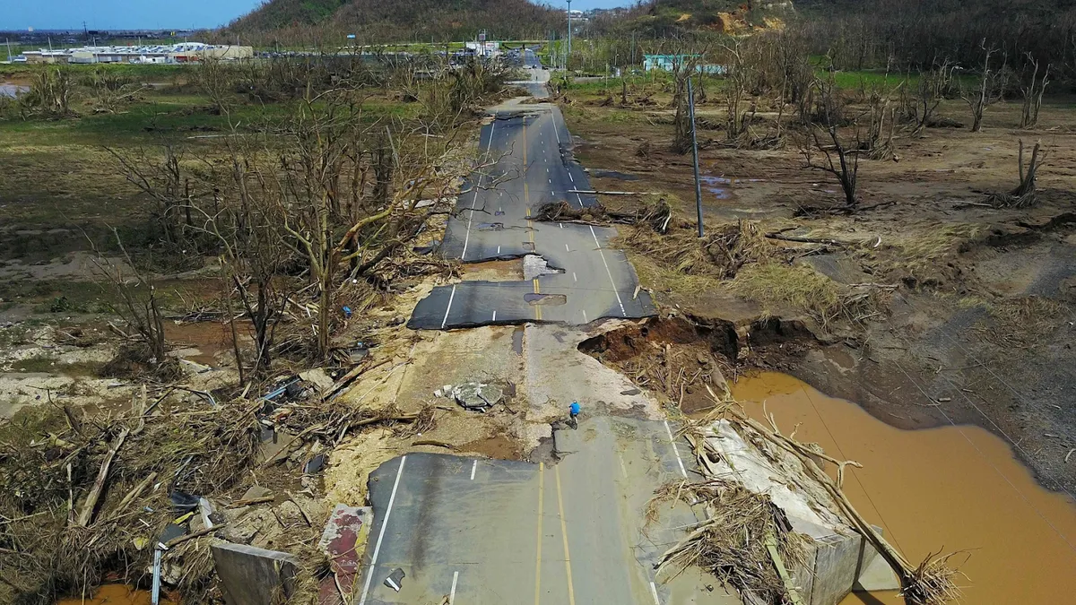 A broken road, fallen trees, and muddy, flooded land