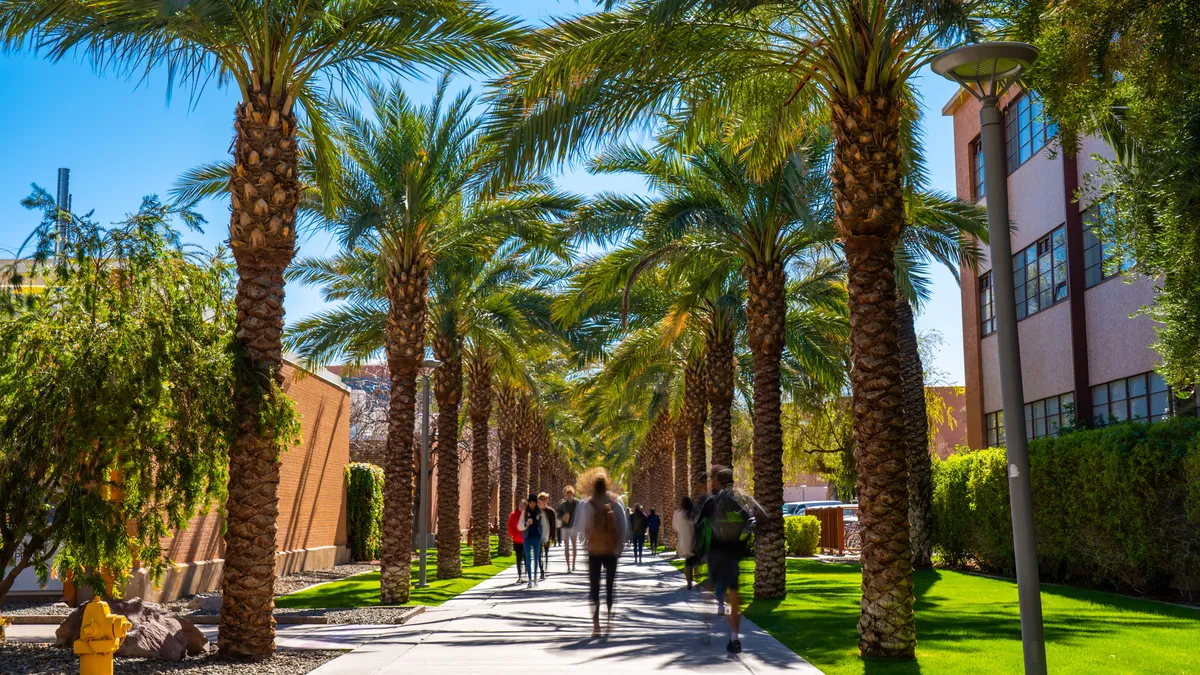 Palm Walk in Arizona State University campus in Tempe.