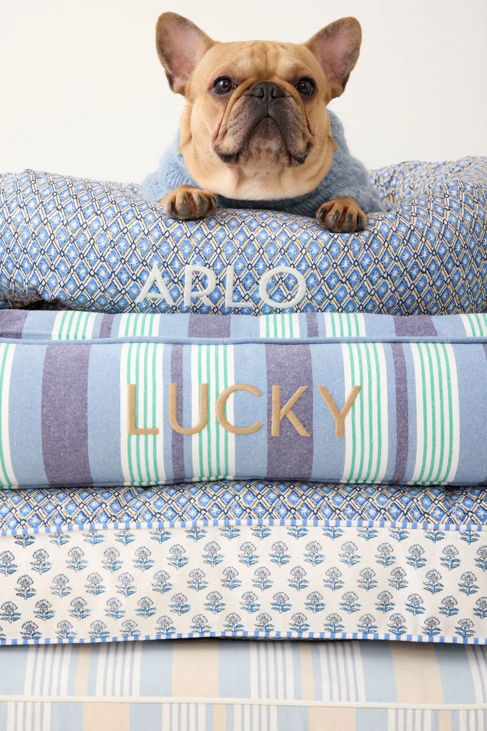 A dog lies on top of a stack of dog beds with pet names on them.