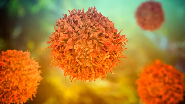 A digital image of a B-lymphocyte cells