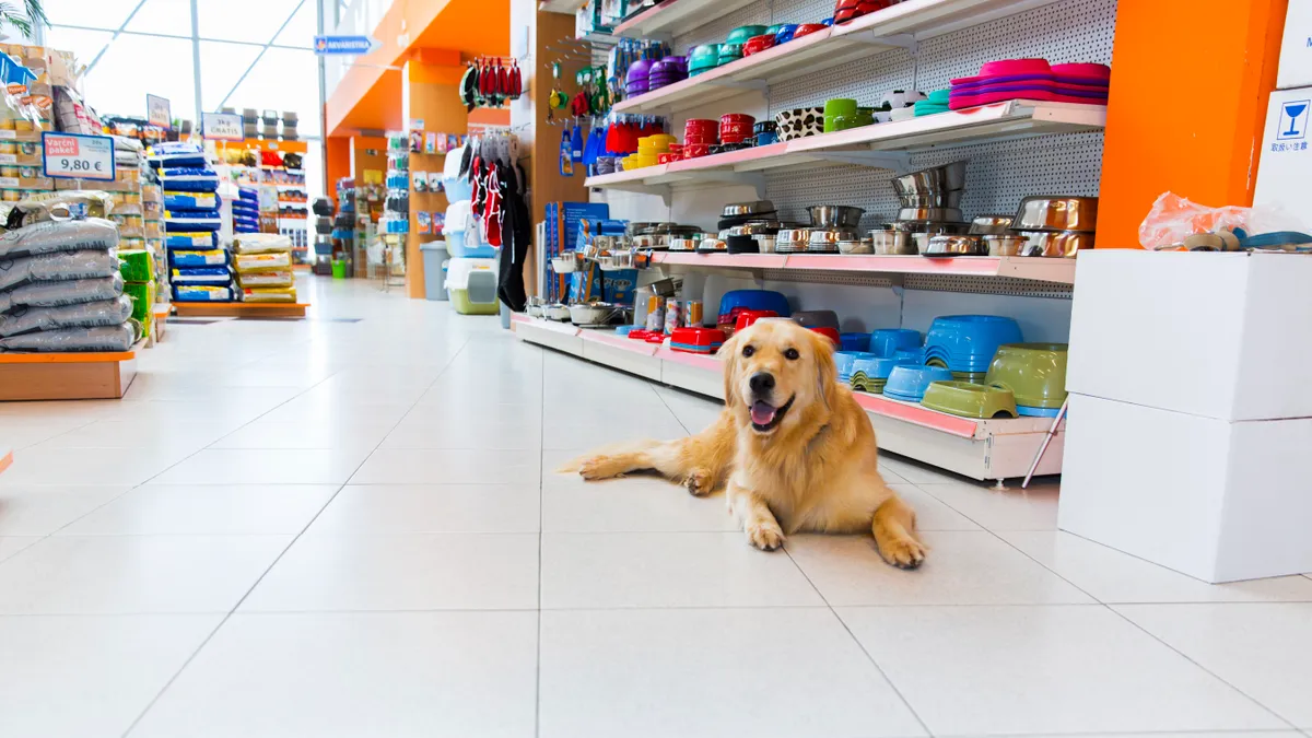 Golden Retriever sitting on the floor of a pet store with bowls and bags behind it