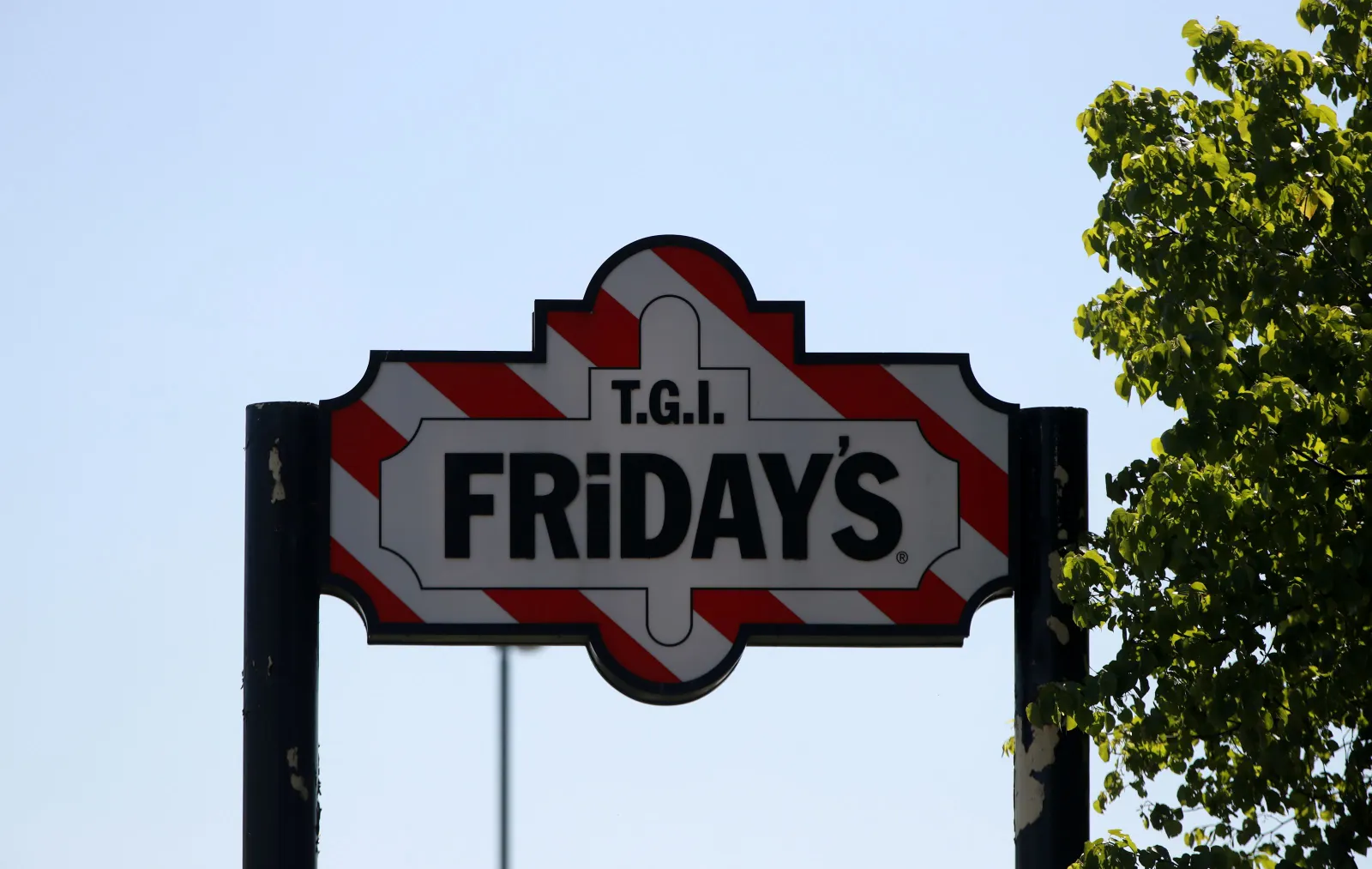 An image of a sign that says TGI Fridays against oa red and white background. There isa tree on the left and a blue sky in the background
