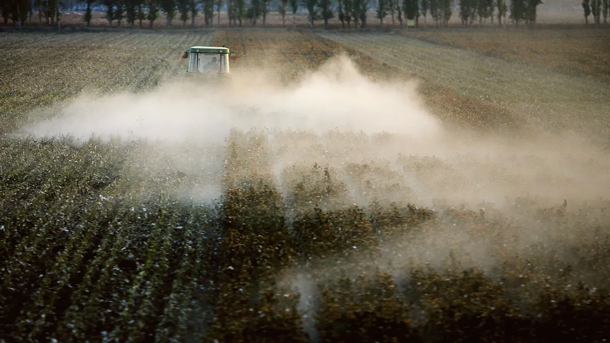 A machine churning in a cotton field in Shihezi city of Xinjiang province, China.