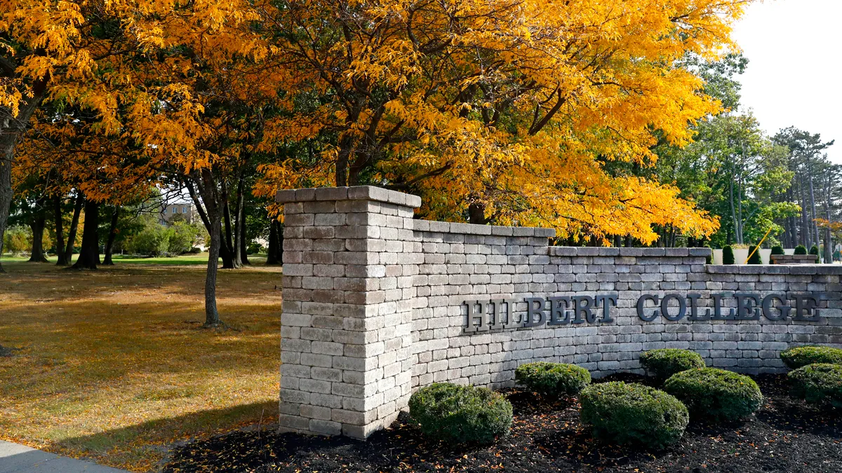 Hilbert College