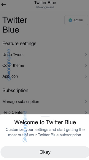 Twitter Blue