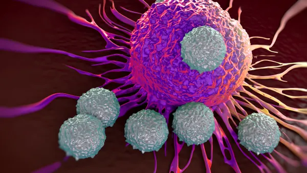 An illustration of T cells attacking a cancer cell