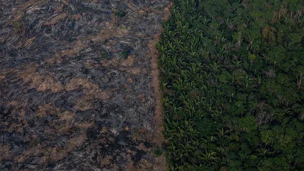 An aerial image, where a section of the Amazon rain forest that has been decimated by wildfires