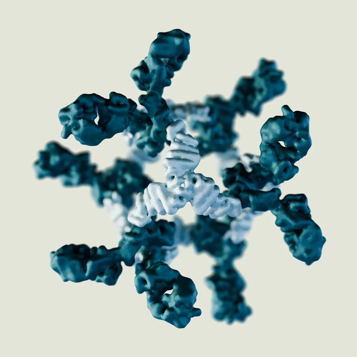 A rendering of an antibody cage designed by researchers at Archon Biosciences.