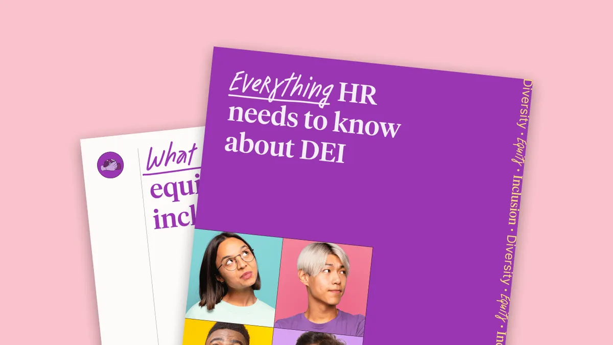 A purple binder saying everything HR needs to know about DEI