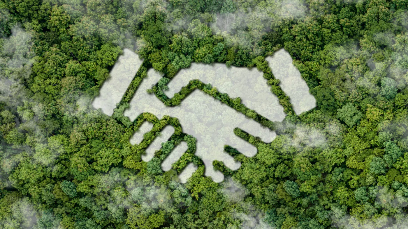 Forest clearing shaped like handshake symbolizing cooperation.