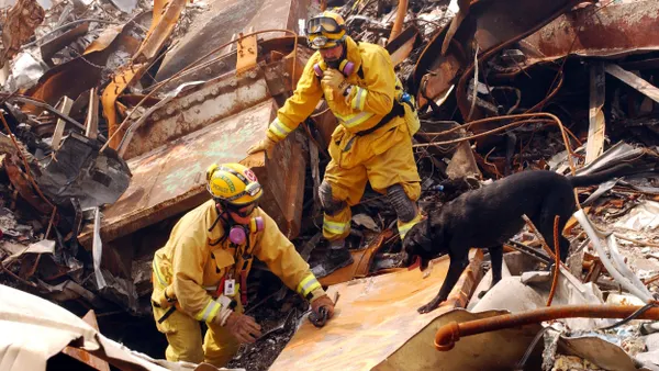 Two people wearing yellow uniforms and hats and a black dog searching through a vast pile of rubble.
