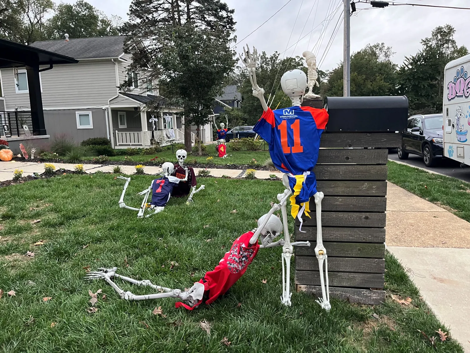 A group of skeletons play flag football in a person's yard.