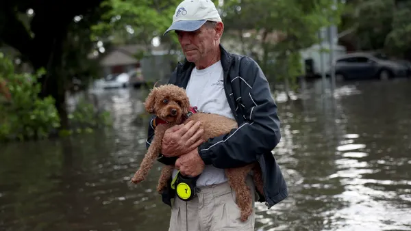A person holding a small dog walks in a flooded street.