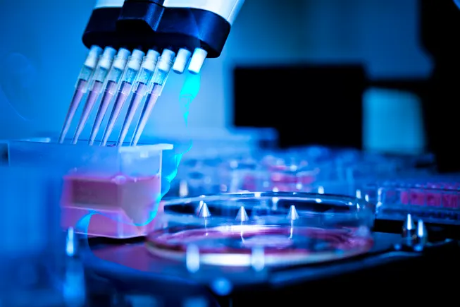 Private equity firms back PCI Pharma in bet on drug production