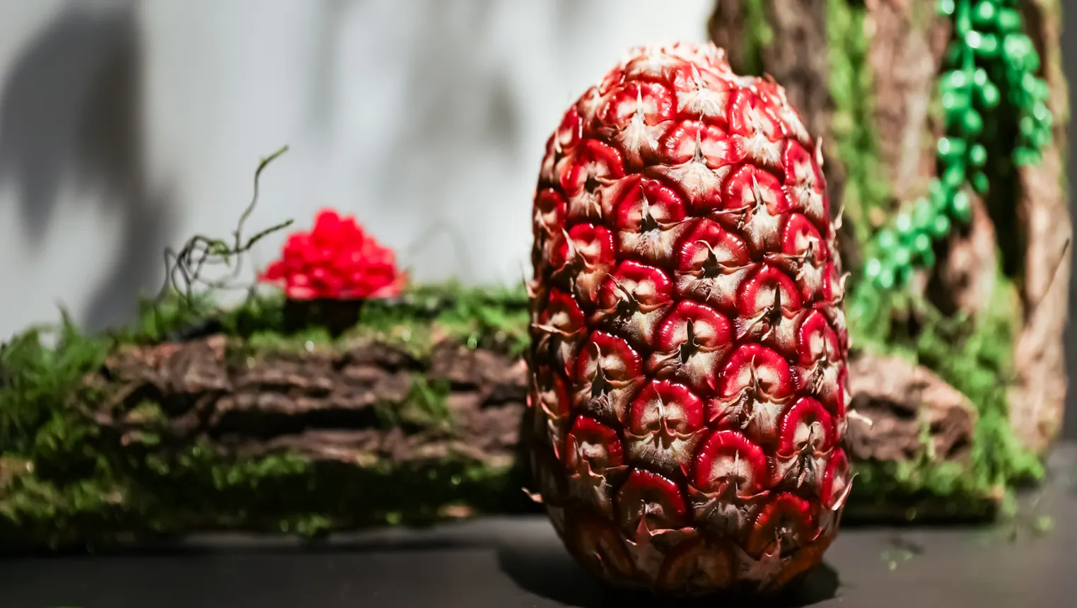 A Fresh Del Monte Rubyglow pineapple.