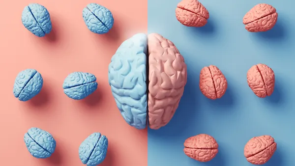Illustration of the right and left lobes of the human brain.