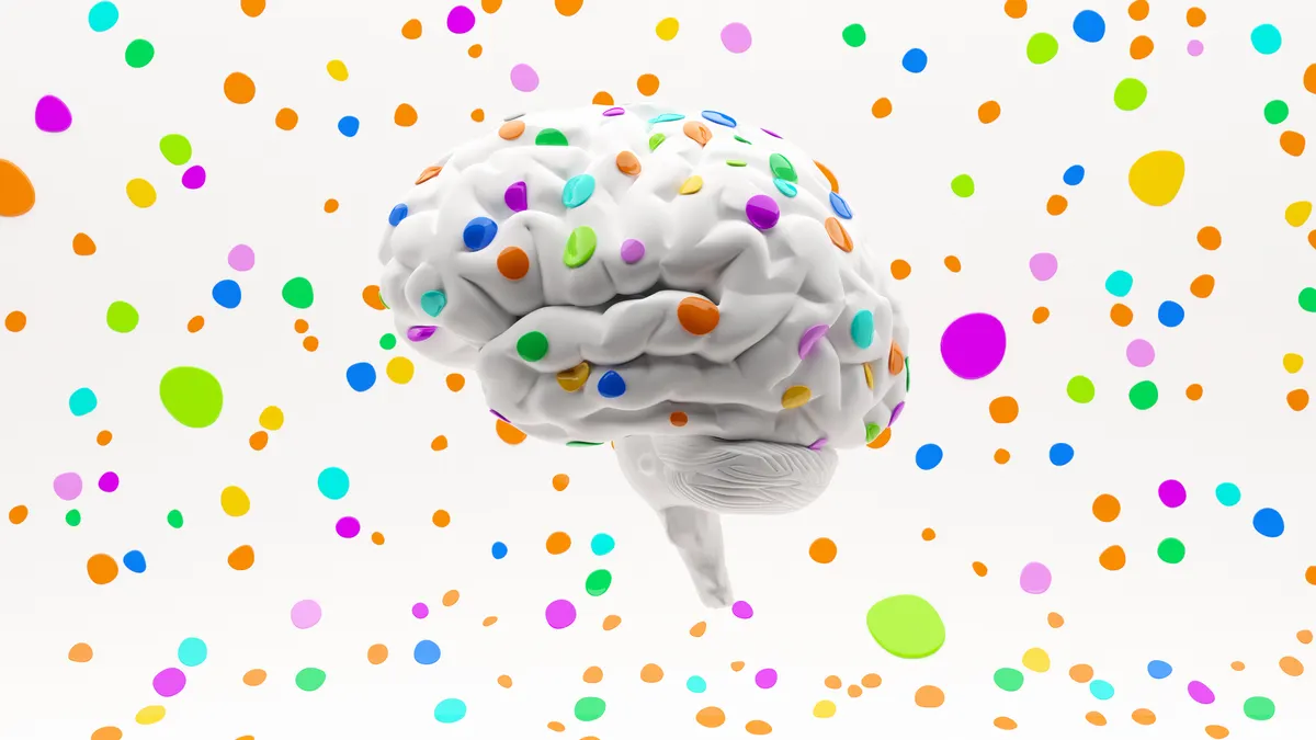 Psychedelic therapy brain