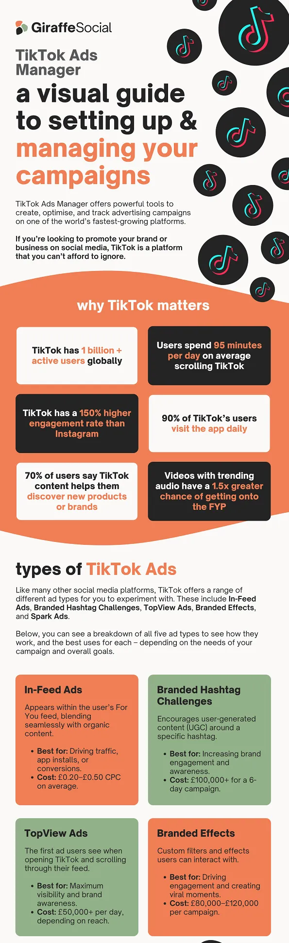 TikTok ads manager infographic