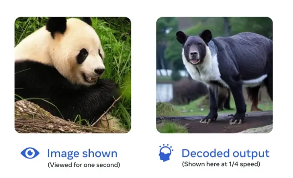 Meta visual replication