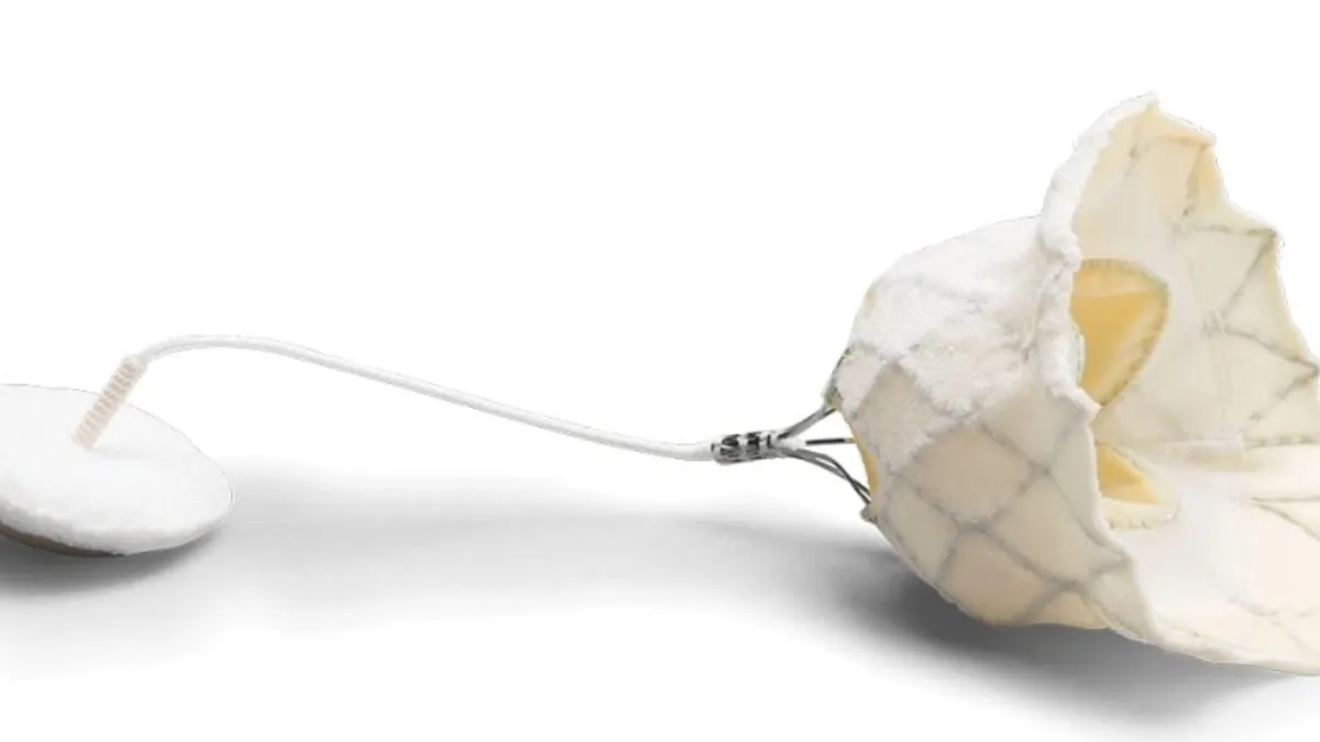 Abbott Tendyne mitral valve replacement device