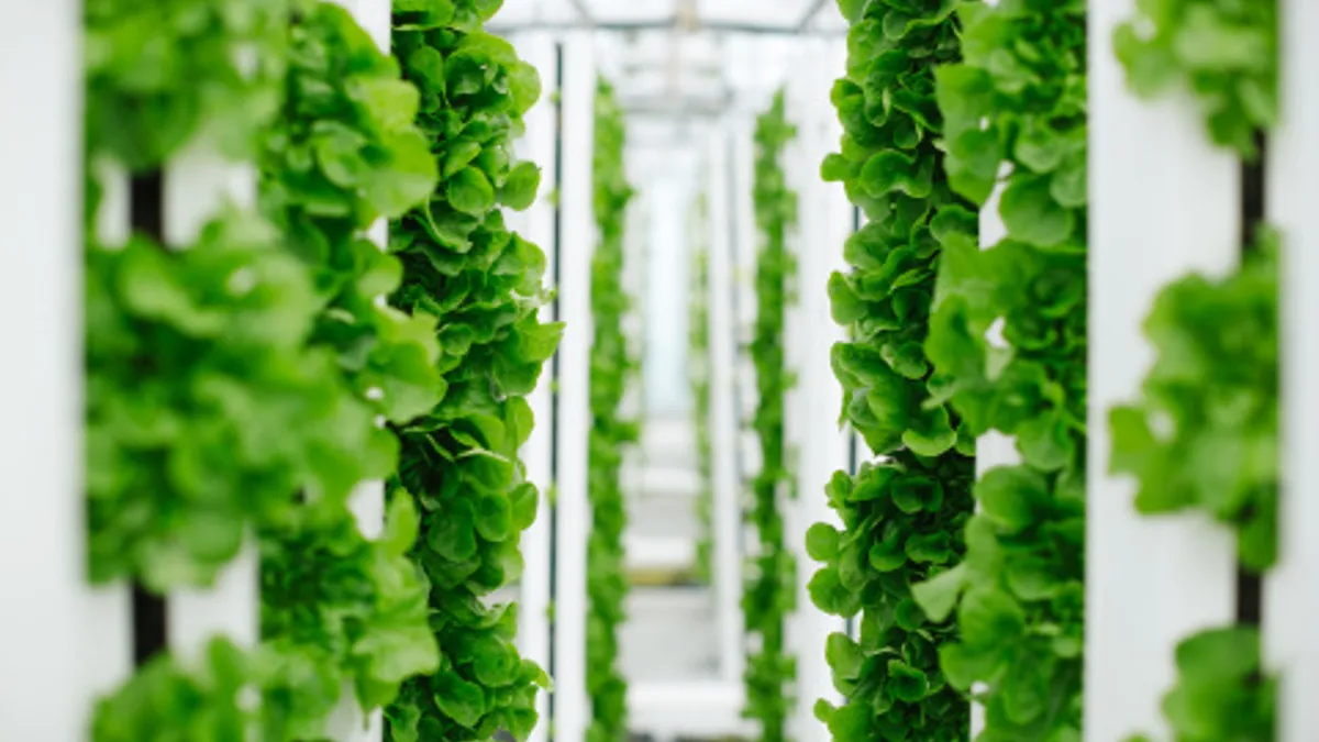 vertical farming