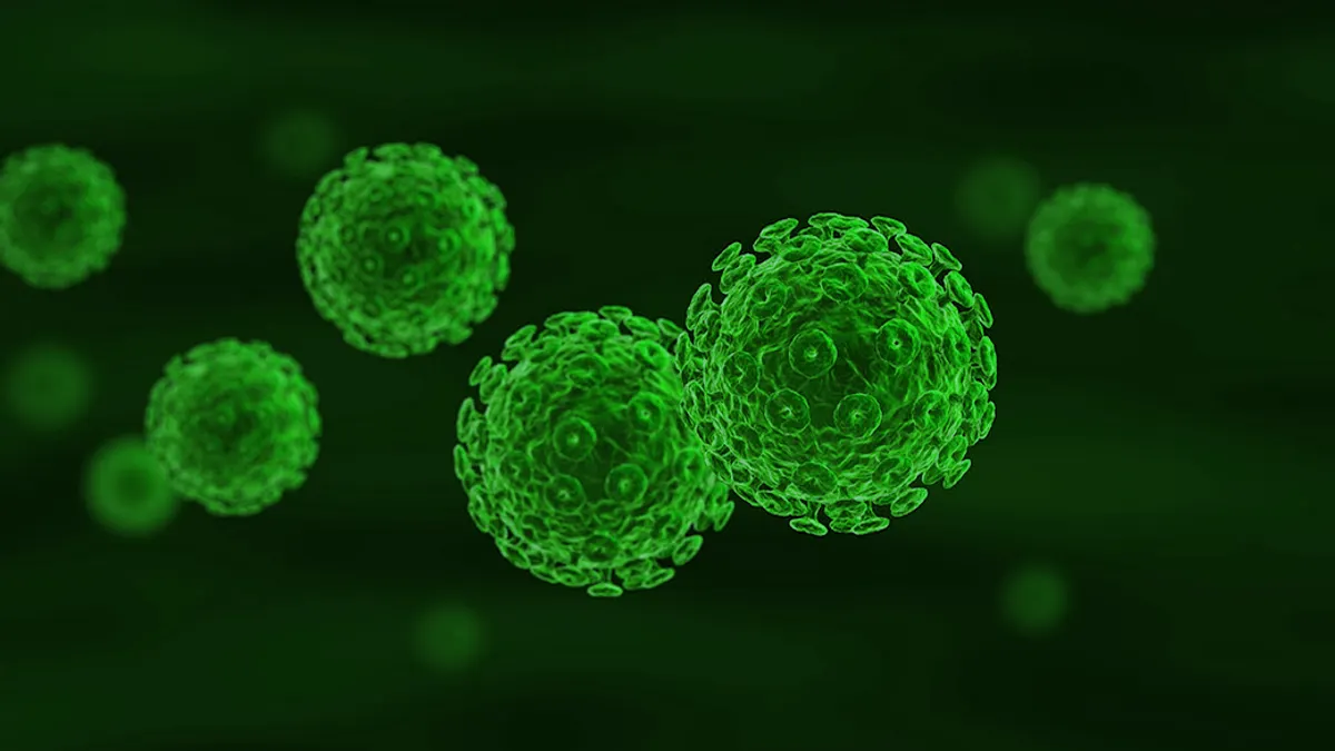 Lentivirus cell