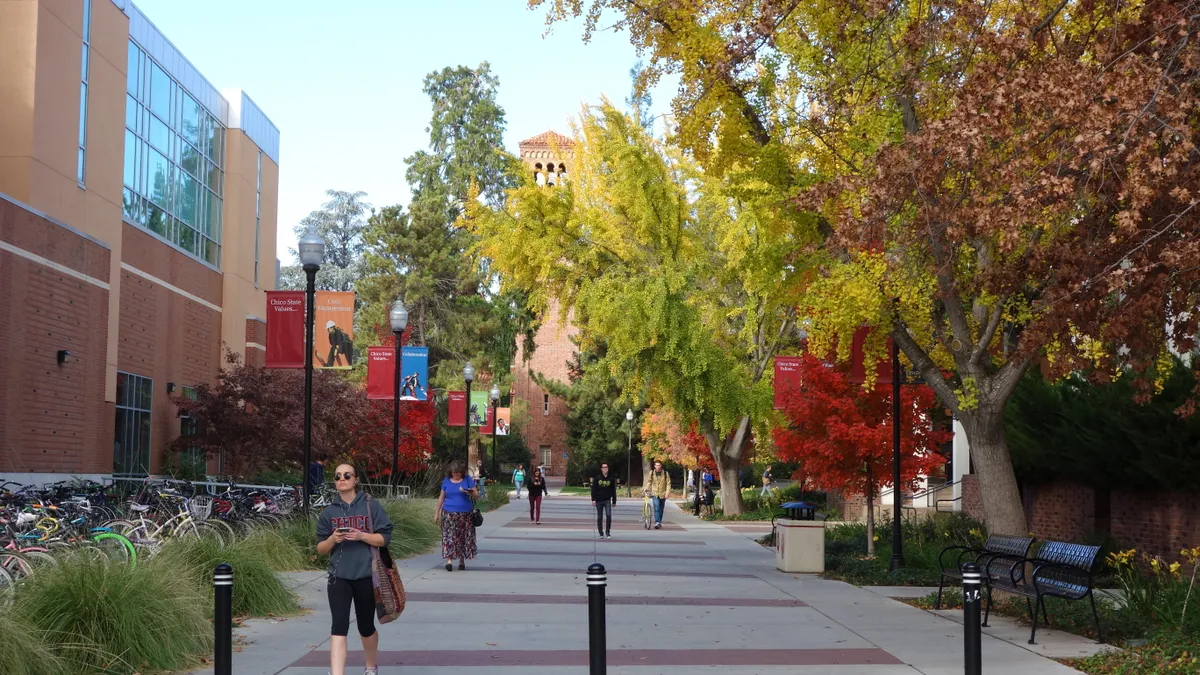 A shot of the Cal State Chico campus, with a long sidewalk in the center, with several light poles with signs advertising the college on them.