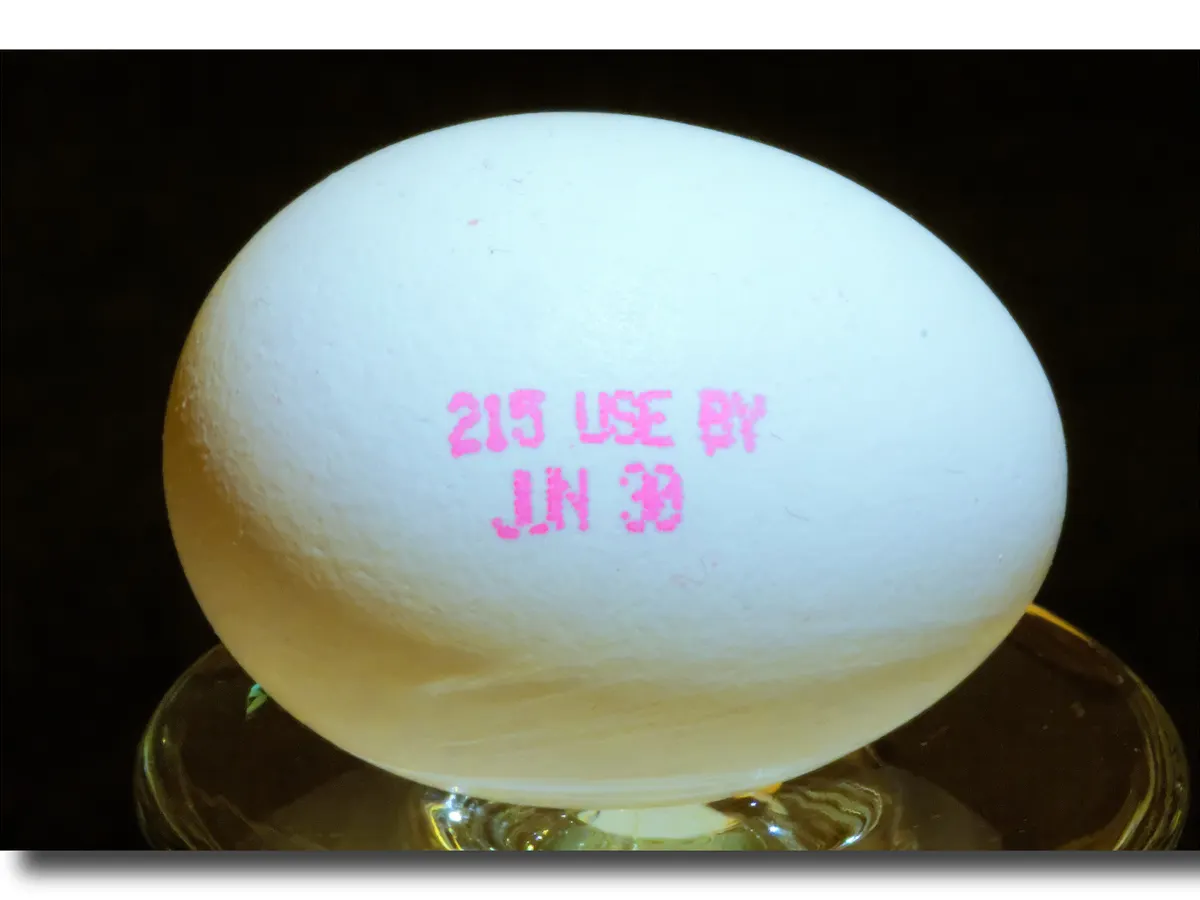 Z3M6Ly9kaXZlc2l0ZS1zdG9yYWdlL2