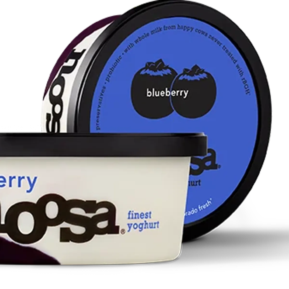 Campbell Soup sells Noosa yogurt to fresh foods manufacturer