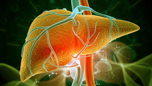 A 3D illustration of a human liver.