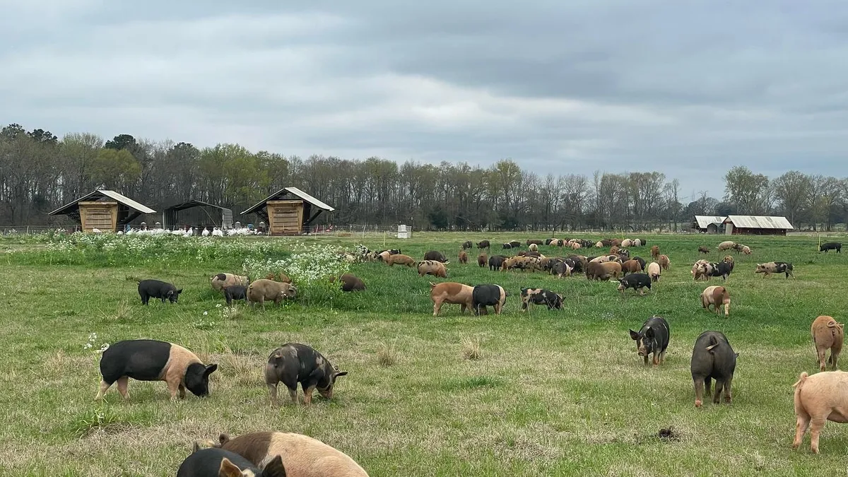 White Oak Pastures