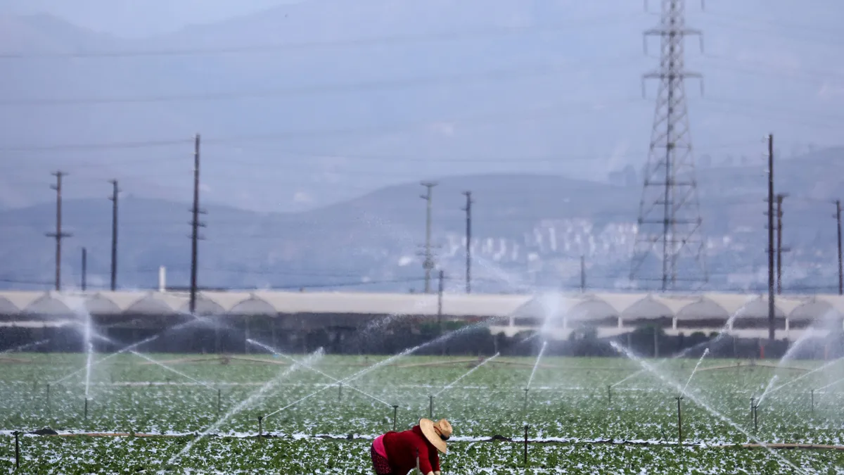 A farm worker in a wide-brimmed hat bends down in a field as sprinklers in the background eject water.