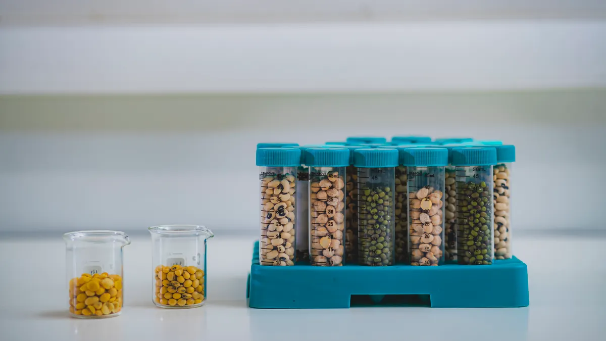 Glass laboratory containers of pulses including yellow peas on a lab counter.
