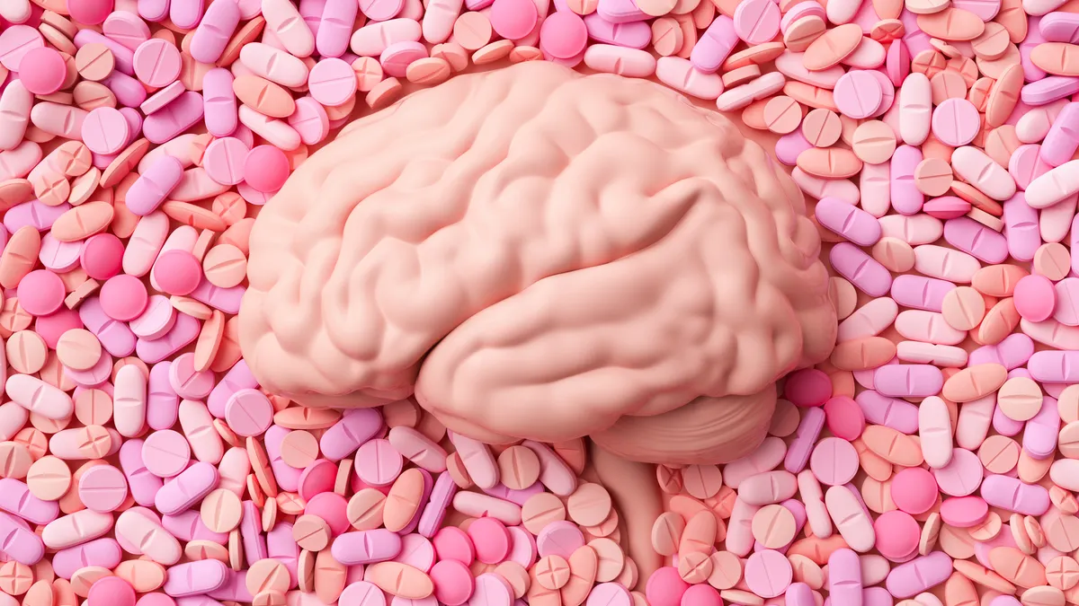 Narcotic Brain