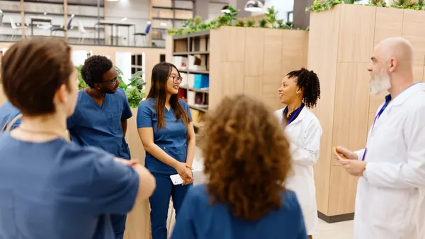 Young medical students on consultations with their professors