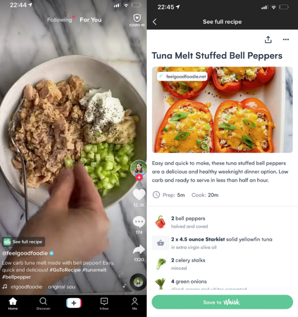 TikTok Whisk integration