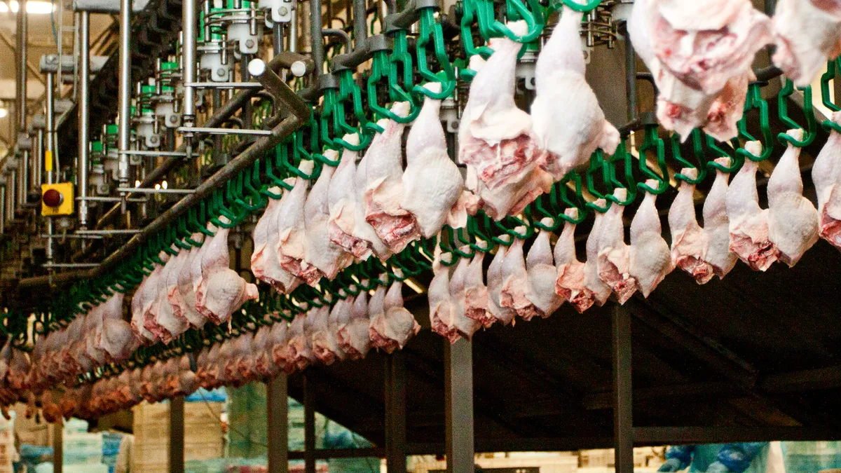 Chicken breasts on the production line