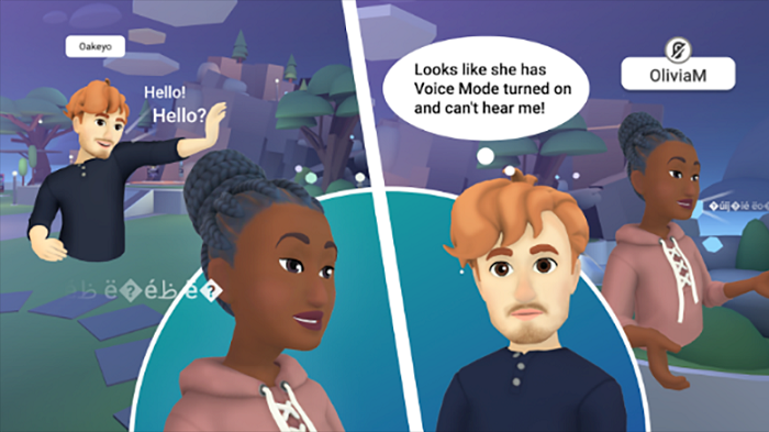 Meta safety in VR
