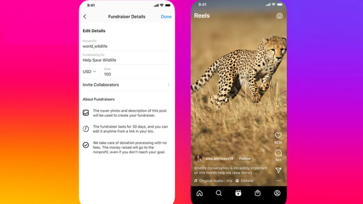 Instagram Reels fundraisers
