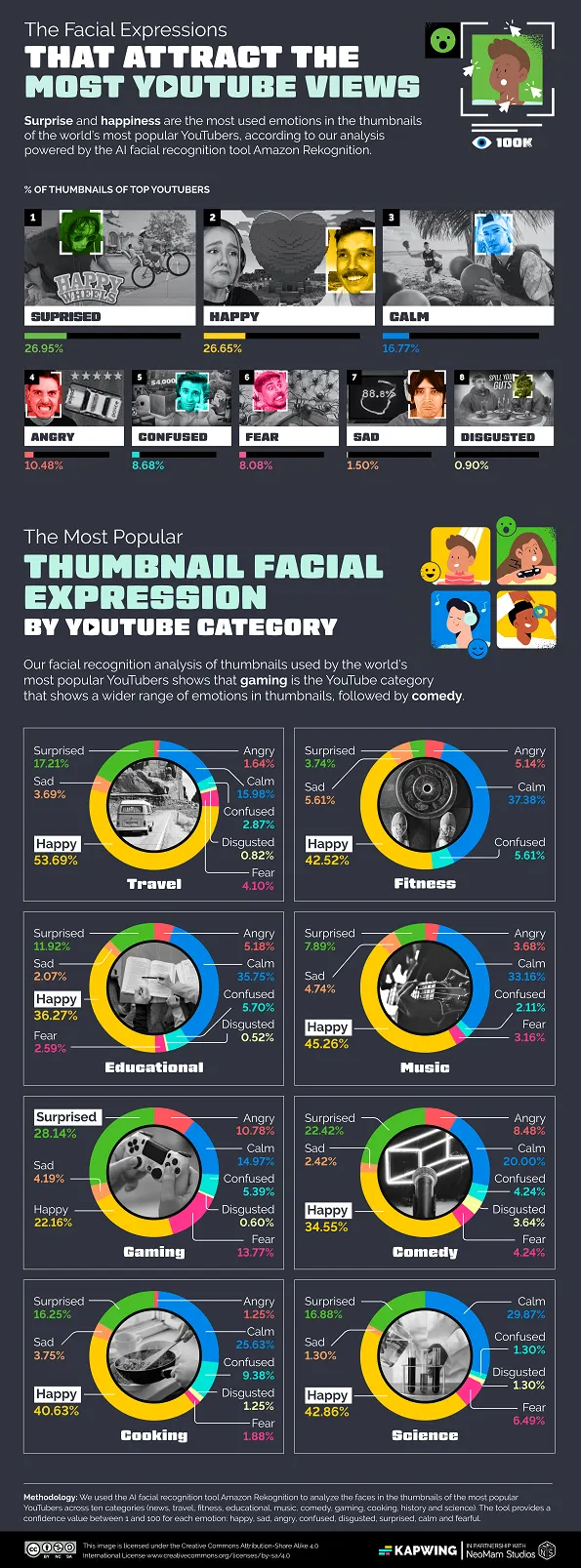 YouTube Thumbnail Infographic