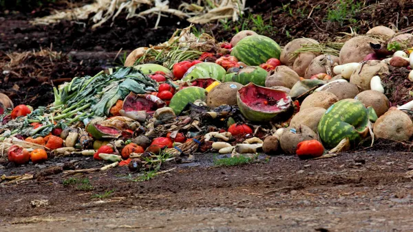 A large pile of discarded fruits and vegetables, including watermelons, tomatoes, leafy greens, and root vegetables, lying on damp soil.