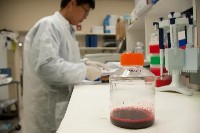Promacta Injection GSK's Promacta scores FDA approval for rare bone marrow disorder ...
