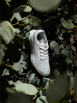 Allbirds unveils Tree Runner Go sneaker as it refocuses on core ...