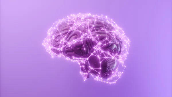 3D Human Brain With Connection Dots And Plexus Lines
