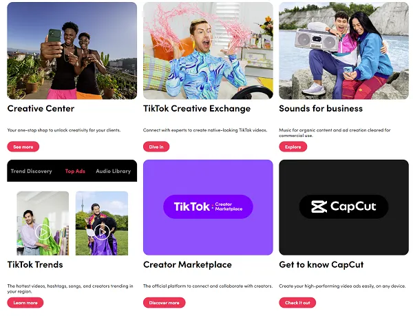 TikTok Agency Hub